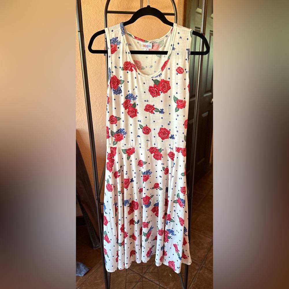 LuLaRoe Nikki dress